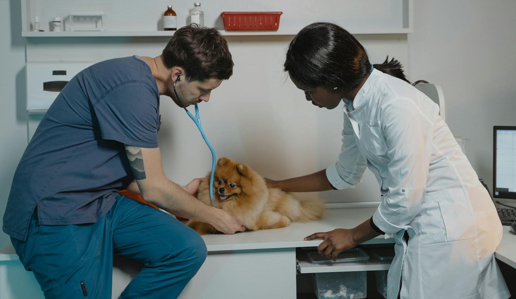 Banfield NextVet